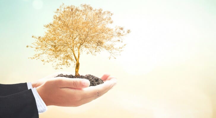 Guaranteed Investment Certificate (GIC)