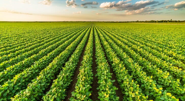 How to Profit From Inflation