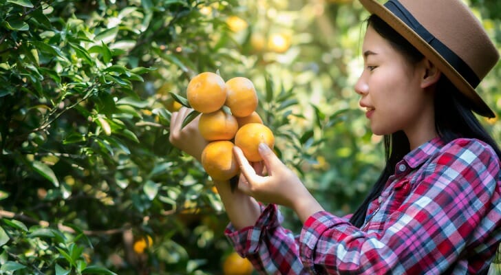 Young woman in an orchard
