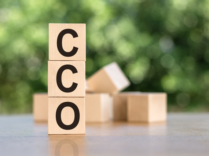 A chief compliance officer (CCO) is a member of your firm's team who can help protect your business from potential legal or regulatory issues.