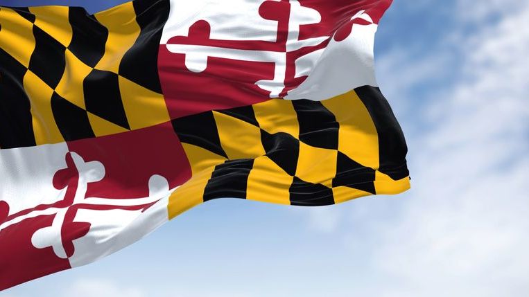 Maryland, like other states, allows you to use different estate planning strategies to avoid probate.