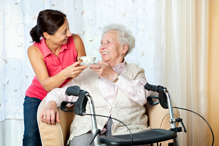 How Limited Guardianship for Adults Works