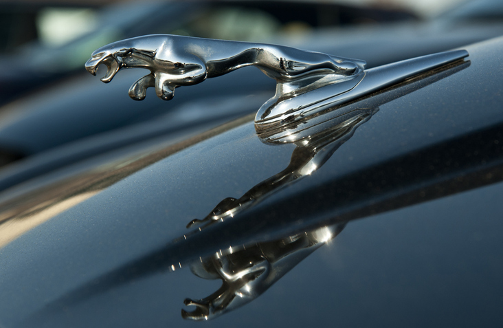 A close-up of a Jaguar hood ornament.