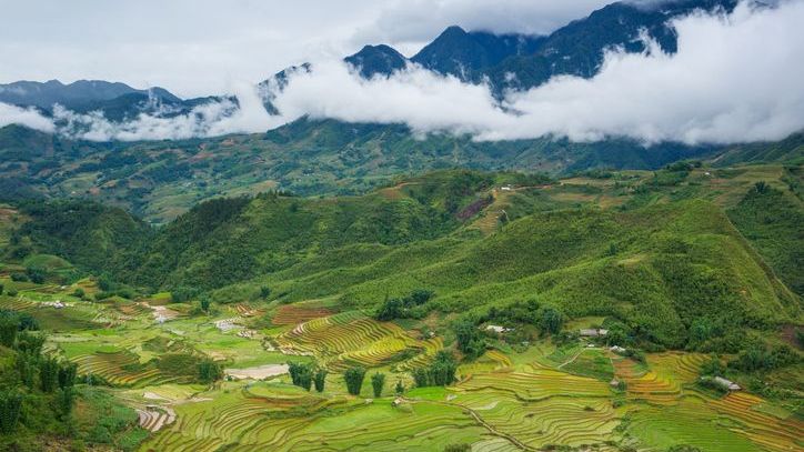 An aerial view of the lush countryside of Puerto Rico.