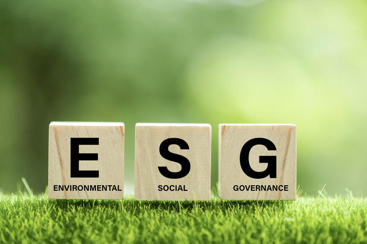 The letters ESG on wooden blocks.